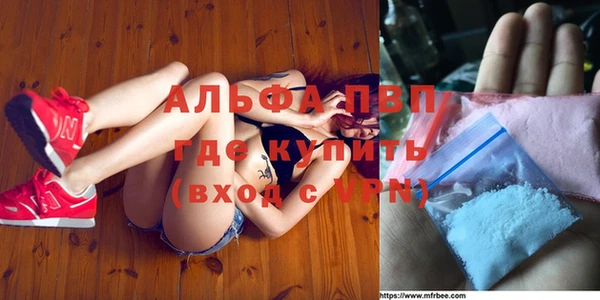 молекула духа Саяногорск