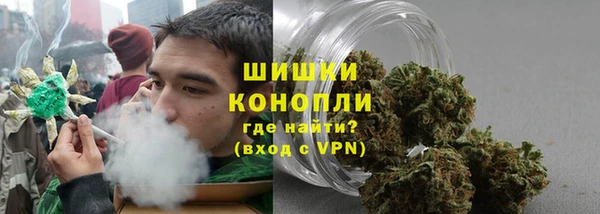 PSILOCYBIN Сатка